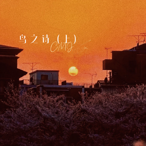 大陆一级毛片免费
